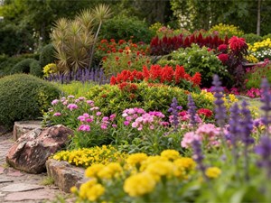 3 puntos claves para cualquier diseño de jardín que se precie