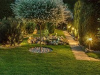 5 tips para un jardín siempre perfecto