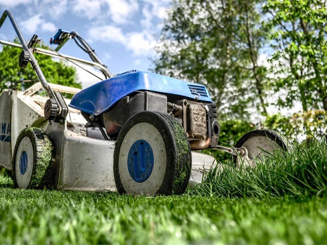 Prepara tu jardín y piscina para la llegada de la primavera