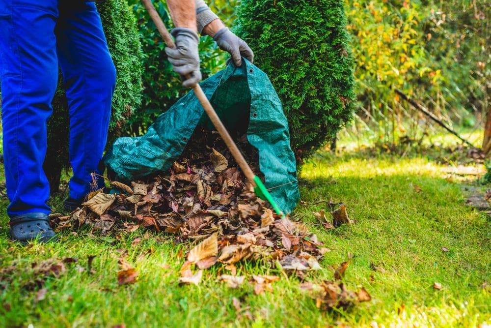 ¿Quieres tener un jardín bonito y saludable? Confía en nuestros expertos en jardinería