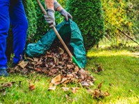 ¿Quieres tener un jardín bonito y saludable? Confía en nuestros expertos en jardinería